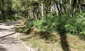 Imagem 3: Terreno em Condomínio - Bairro Pinheiro Grosso