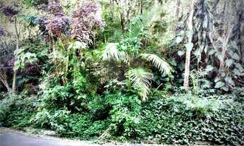 Imagem 7: Terreno à venda em Roseira - SP