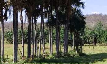 Imagem: Chácara em Mairipotaba