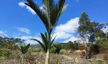 Imagem 4: Chácara a venda Caputira-MG