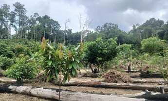 Imagem 4: Vendo terreno KM 85 BR174