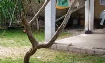 Imagem 6: NOVA VIÇOSA - BA 07 A 13 DE JANEIRO