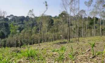 Imagem 7: Chacara belas Áreas Roseira Colombo/ Campina Grande do Sul