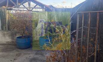 Imagem 5: Casa paulista, vila torres galvão , 3qtos , quintal , cisterna e laje