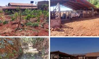 Imagem 4: Chácara de 2 alqueires a venda em Ceres-GO