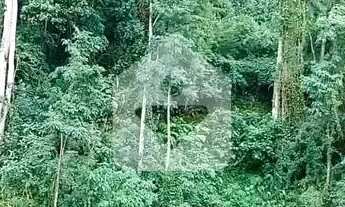 Imagem 5: Conforto e praticidade no coração de Petrópolis!