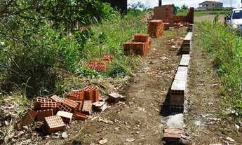 Imagem 3: Sítio Chácara com venda por R$105.000