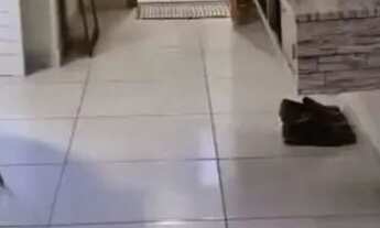 Imagem: Aluga-se casa