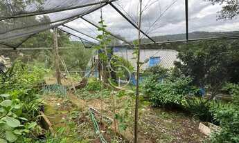 Imagem 4: SITIO Lomba Grande Novo Hamburgo