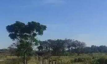 Imagem 3: Imóvel para venda com 1742400 metros quadrados em Bosque dos Eucaliptos - São José dos Cam