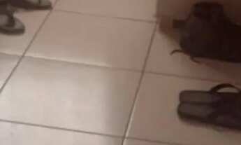 Imagem 3: Casa à venda! Na cidade operária!