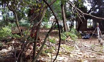 Imagem 5: TERRENO - Terreno Comercial