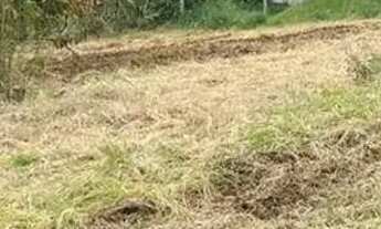 Imagem 3: Terreno à venda, 1000 m² por R$ 145.000,00 - Cocuera - Mogi das Cruzes/SP