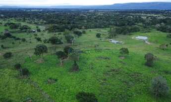 Imagem 2: Fazenda em Cáceres na Beira do Asfalto 113 hectares