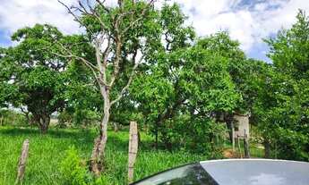 Imagem 4: Duas chácaras juntas em aragoiânia