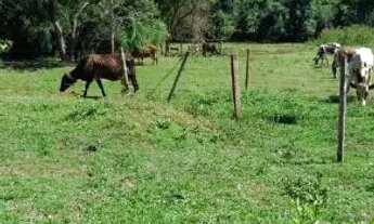 Imagem: Vendo fazenda de cultura boa