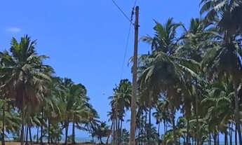 Imagem 4: VENDO LOTES A BEIRA MAR, EM ALAGOAS, JAPARATINGA
