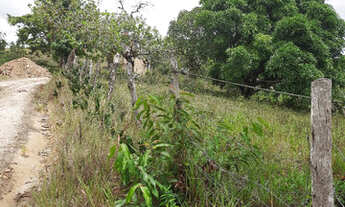 Imagem 4: Vendo excelente fazenda Nazaré das farinha