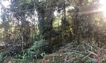 Imagem 2: TERRENO A VENDA PRAIA DO FELIX !