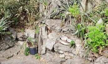 Imagem 3: Casa espaçosa na Vila Aricanduva próximo a estação do Metrô Vila Matilde