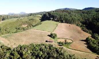 Imagem 6: Belíssimo Sítio com 21,00 ha Serra Catarinense