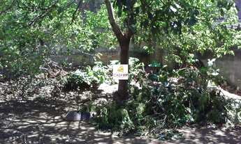 Imagem 4: Terreno à venda, Vila da Saúde, 500m²!