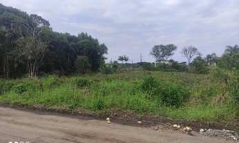 Imagem 4: Vendo lote na Praia do Ervino