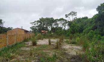 Imagem 4: Vendo lote na Praia do Ervino