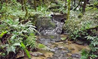 Imagem 6: Fazenda para Venda em Tunas do Paraná com nascente as margens da Estrada da Ribeira