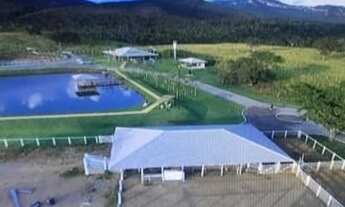 Imagem: Fazenda de Luxo, 650 alqueires em Goiás