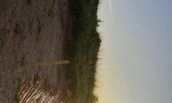 Imagem 2: Lindos lotes pra sua chácara