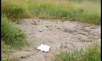 Imagem: Terreno 1000 m. Sorocaba. Lindo, 60 plano