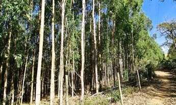 Imagem 3: Vende-se terreno 02 hectares 20.000mt