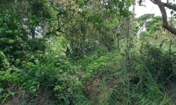 Imagem 4: Lote/Terreno para venda com 300 metros quadrados em Praia da Costa - Vila Velha - Espírito