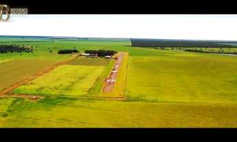 Imagem 2: Fazenda Agropecuária - Porteira Fechada - Mato Grosso