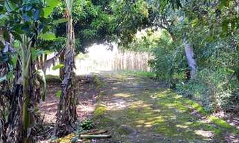 Imagem 4: Rural chacara com 2 quartos - Bairro Setor Serra Dourada em Goianira