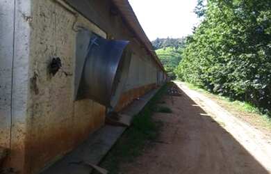 Imagem 6: Fazenda em Itapira, interior de São Paulo