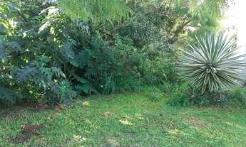 Imagem 3: Porto Alegre - Terreno Padrão - Ipanema