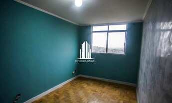 Imagem 3: 3 dormitórios, 1 vaga na vila ademar