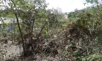 Imagem 6: Terreno à venda, 4000 m² por R$ 1.400.000,00 - Granja Viana - Cotia/SP