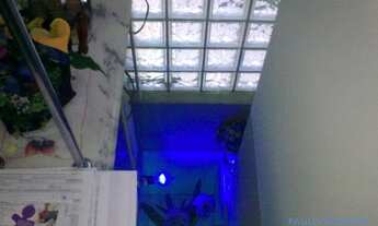 Imagem 4: SOBRADO - VILA GUILHERME - SP