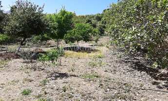 Imagem 3: SITIO à venda, Rural, Ibiraci