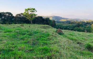 Imagem 5: M12- lotes com excelente topografia