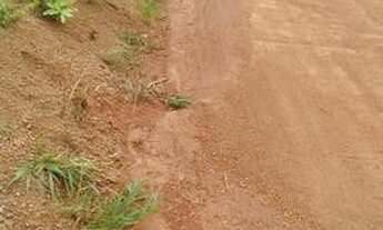 Imagem 6: Incra 09 continuação na Boa Esperança