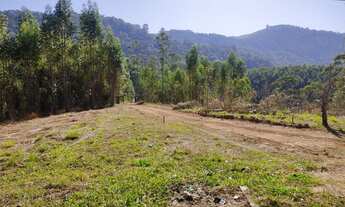 Imagem 3: Lote/Terreno para venda tem 5000 metros quadrados em Centro - Mogi das Cruzes - SP