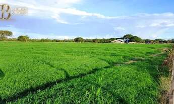 Imagem: Oportunidade de investimento fazenda em