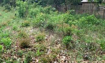 Imagem: Vendo ou troco terreno comunidade vila nova