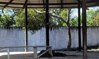 Imagem 4: Terreno alter do chão