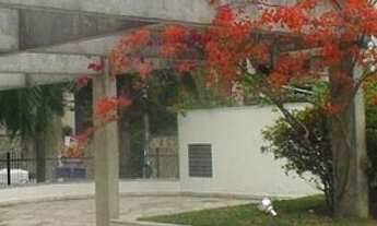 Imagem 5: APARTAMENTO - MOEMA PÁSSAROS - SP