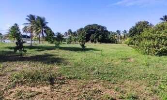 Imagem 3: VENDO ILHA EM PIAÇABUÇU